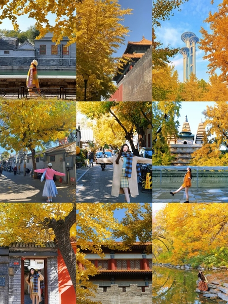 mùa thu Bắc Kinh có gì đẹp