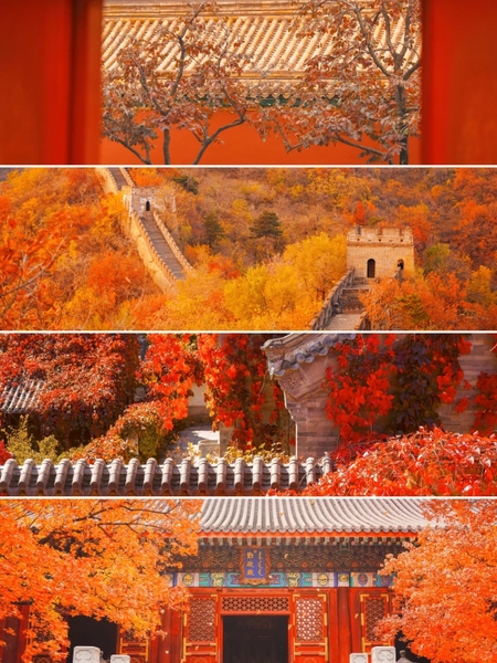 Bắc Kinh mùa thu có những điểm tham quan nào đẹp