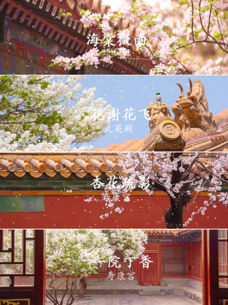 mùa xuân Bắc Kinh