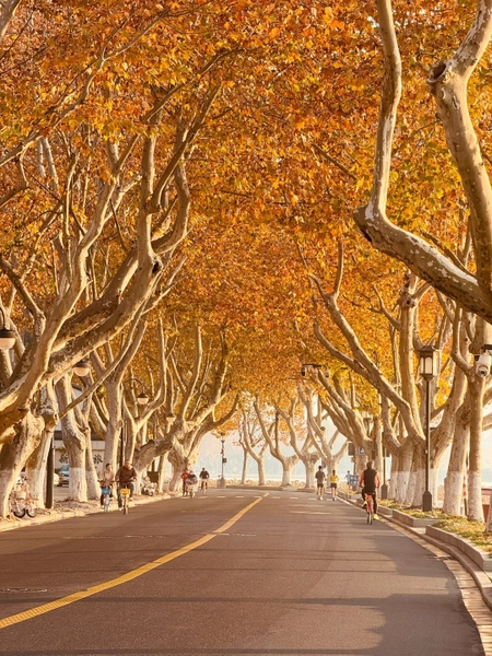 phố Bắc Sơn, Tây Hồ, Hàng Châu