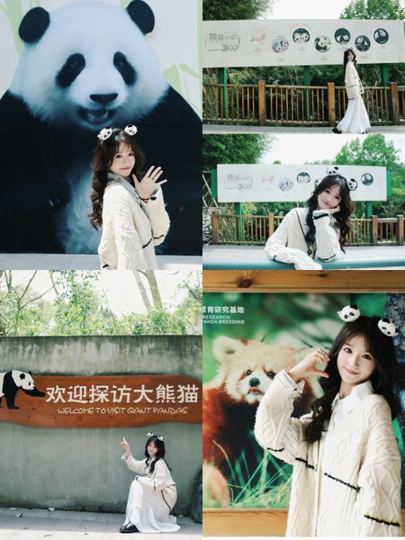 ngắm gấu trúc ở Thành Đô