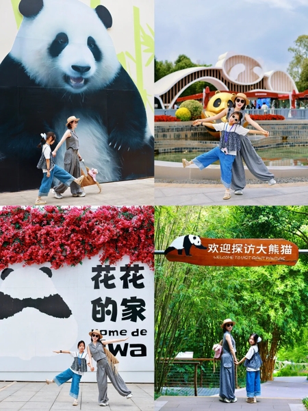 check in gấu trúc Thành Đô