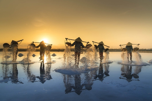 Kinh nghiệm du lịch vùng đất nho Ninh Thuận 24