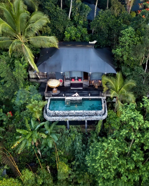 Capella Ubud - resort Bali đẹp Capella Ubud - resort Bali đẹp