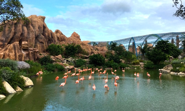 Review khu vui chơi Vinwonders Nha Trang - Đảo Hòn Tre 4