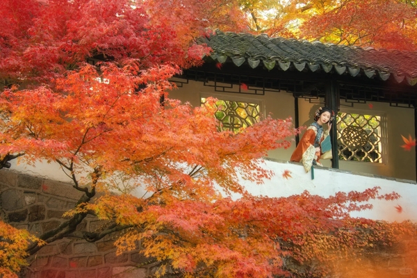 Chụp ảnh đẹp ở Chuyết Chính Viên