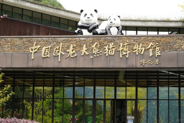 Căn cứ Thần Thụ Bình - Khu bảo tồn thiên nhiên Ngọa Long 1