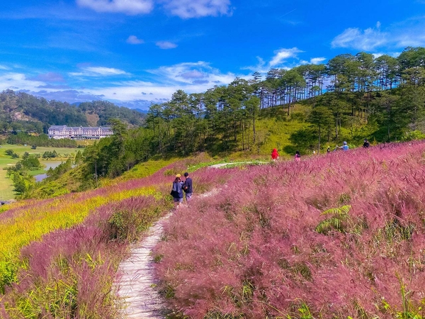 Top 8 điểm check in không thể bỏ lỡ ở thành phố hoa Đà Lạt 4