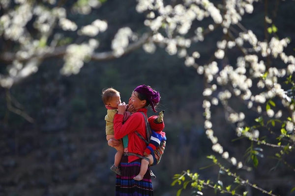 12 Lý Do Khiến Sapa Trở Thành Điểm Đến Không Thể Bỏ Lỡ 13