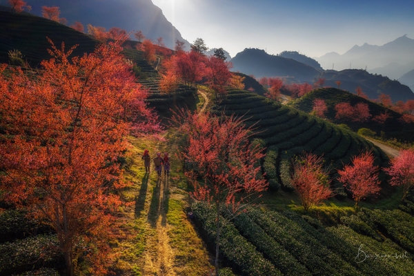 12 Lý Do Khiến Sapa Trở Thành Điểm Đến Không Thể Bỏ Lỡ 3