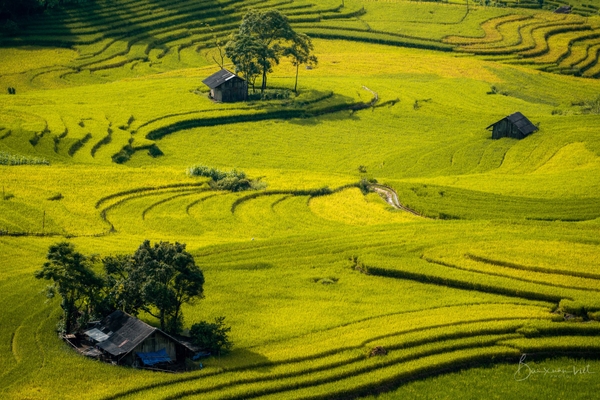 12 Lý Do Khiến Sapa Trở Thành Điểm Đến Không Thể Bỏ Lỡ 7