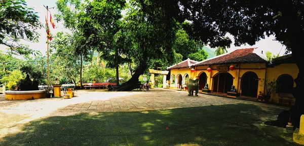 Khám Phá Côn Đảo – Một Trong Những Hòn Đảo Hoang Sơ Bí Ẩn Nhất Hành Tinh 17