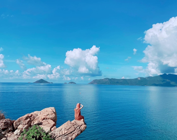 Độc đáo Côn Đảo mùa rùa đẻ trứng 8