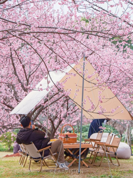 Picnic ở Thượng Hải