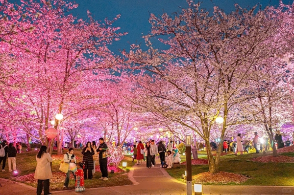 Vườn hoa anh đào lớn nhất Thượng Hải
