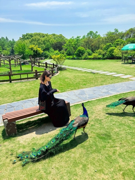 Công viên Cố Thôn có gì