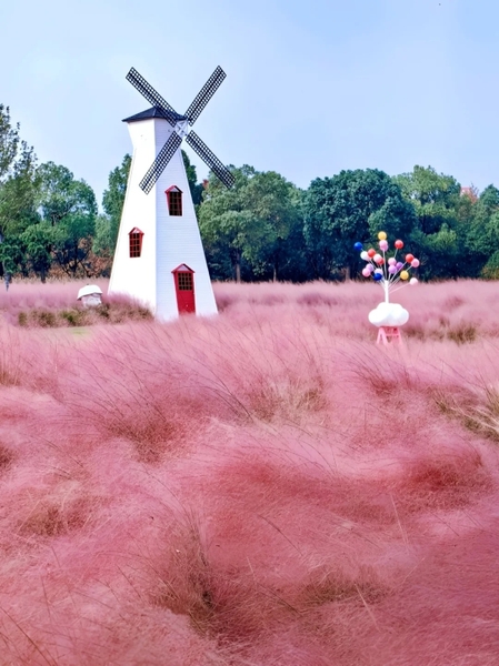 Công viên Cố Thôn có gì