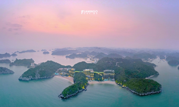 Du lịch Cát Bà 2 ngày 1 đêm đặt phòng ở đâu?
