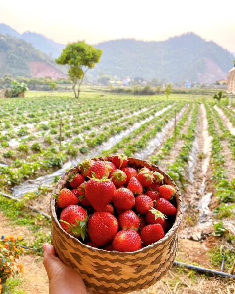 Tháng 12 đi du lịch ở đâu? Địa điểm du lịch đẹp lý tưởng cho mùa đông 4