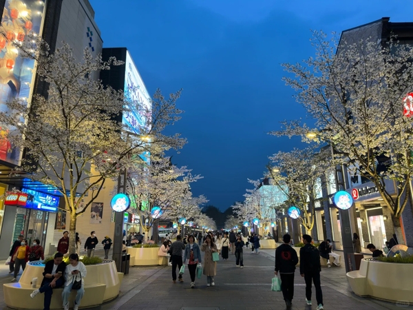 Phố đi bộ Hàng Châu