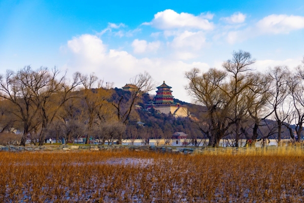 mùa đông Di Hoà Viên