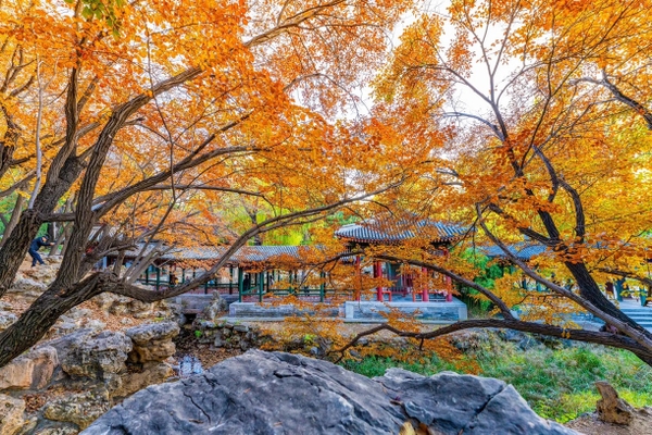 cảnh sắc mùa thu Di Hoà Viên