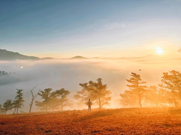 Top 8 điểm check in không thể bỏ lỡ ở thành phố hoa Đà Lạt 1