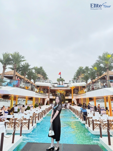 check in du thuyền Dolphin Halong