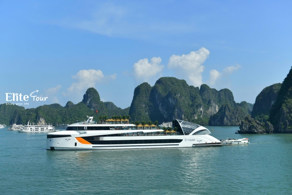 Thiết kế du thuyền Dolphin Halong