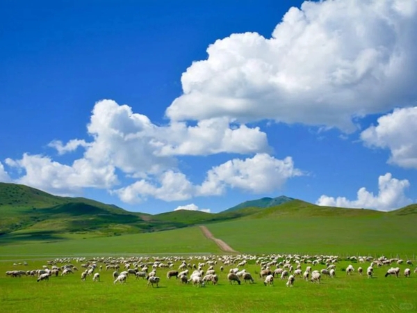 Thảo nguyên Horqin Nội Mông