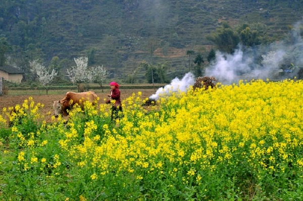 5 địa điểm du lịch trong nước lý tưởng mùa cuối năm 4