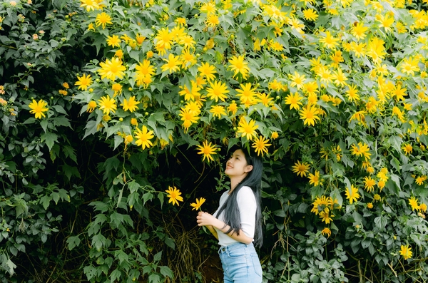 Du lịch Đà Lạt cuối năm có gì đẹp? 3