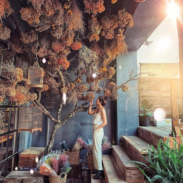 12 tiệm cà phê xịn sò tại Đà Lạt dành cho các tín đồ mê sống ảo 14