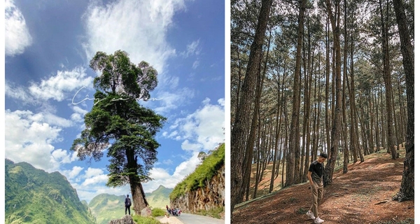 Cẩm nang du lịch Hà Giang 4