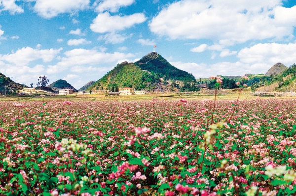 Cẩm nang du lịch Hà Giang 6