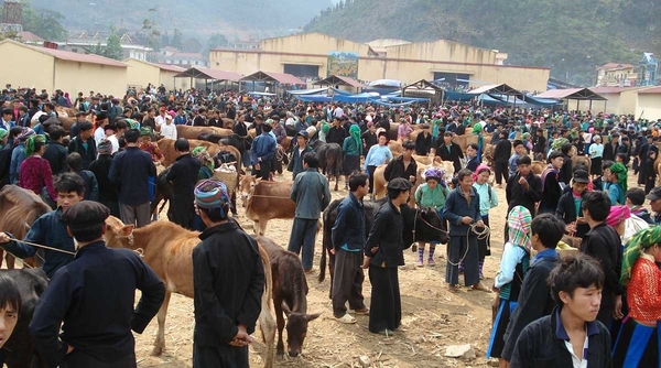 Cẩm nang du lịch Hà Giang 8