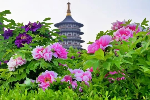 Lịch sử Lạc Dương