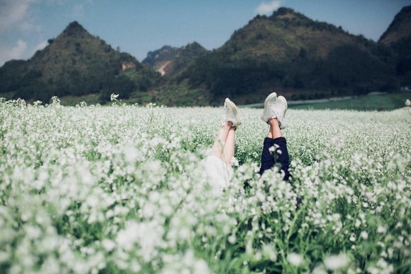 Mùa hoa cải Mộc Châu 2