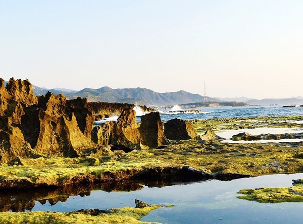 Kinh nghiệm du lịch vùng đất nho Ninh Thuận 14