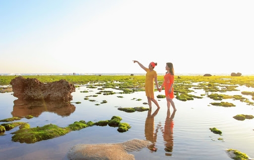 Những trải nghiệm không thể bỏ lỡ khi du lịch Ninh Thuận 13
