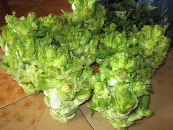 Du lịch Sapa tháng 12 có gì hấp dẫn sẽ chờ đợi bạn! 16