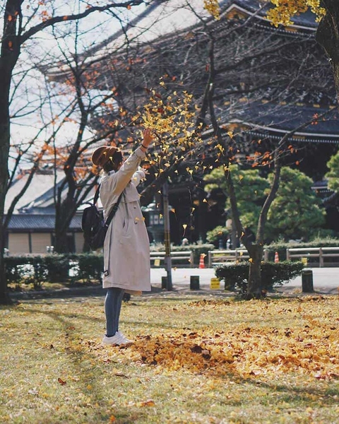Tháng 12 đi du lịch ở đâu? Địa điểm du lịch đẹp lý tưởng cho mùa đông 12
