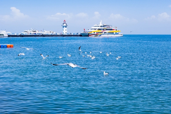 mùa nào đi Thanh Hải đẹp