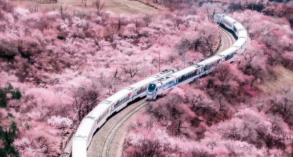 Du lịch Bắc Kinh mùa xuân