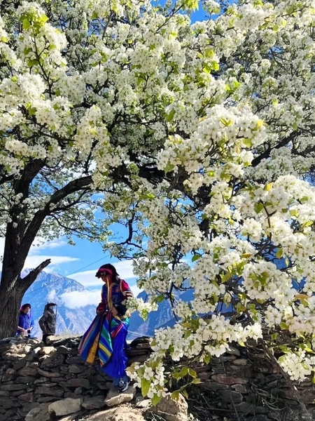 Mùa hoa lê Kim Xuyên, Tứ Xuyên