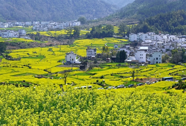 Vụ Nguyên, Giang Tô