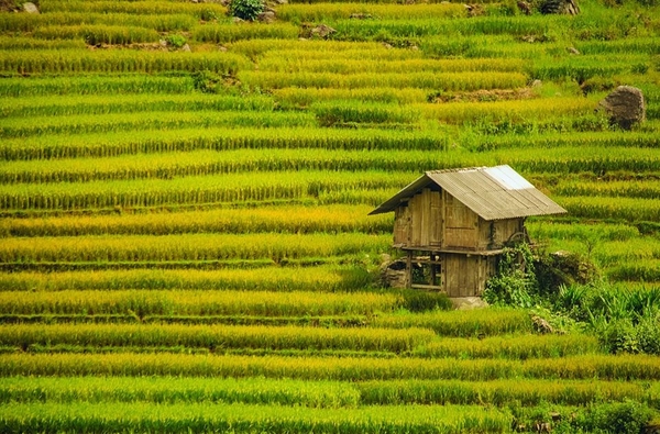 Y Tý - Miền đất hứa của dân phượt 1