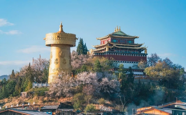 Shangrila 