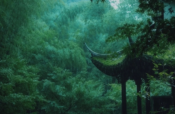 Rừng trúc Vân Khê