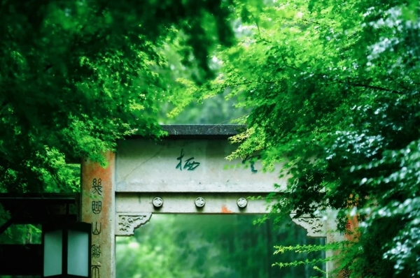 Cảnh đẹp ở Hàng Châu mùa hè